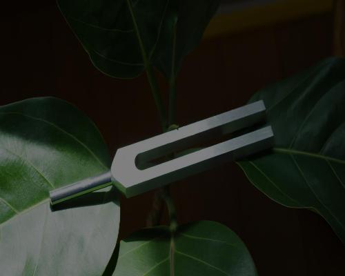 Stimmgabel - Balancing